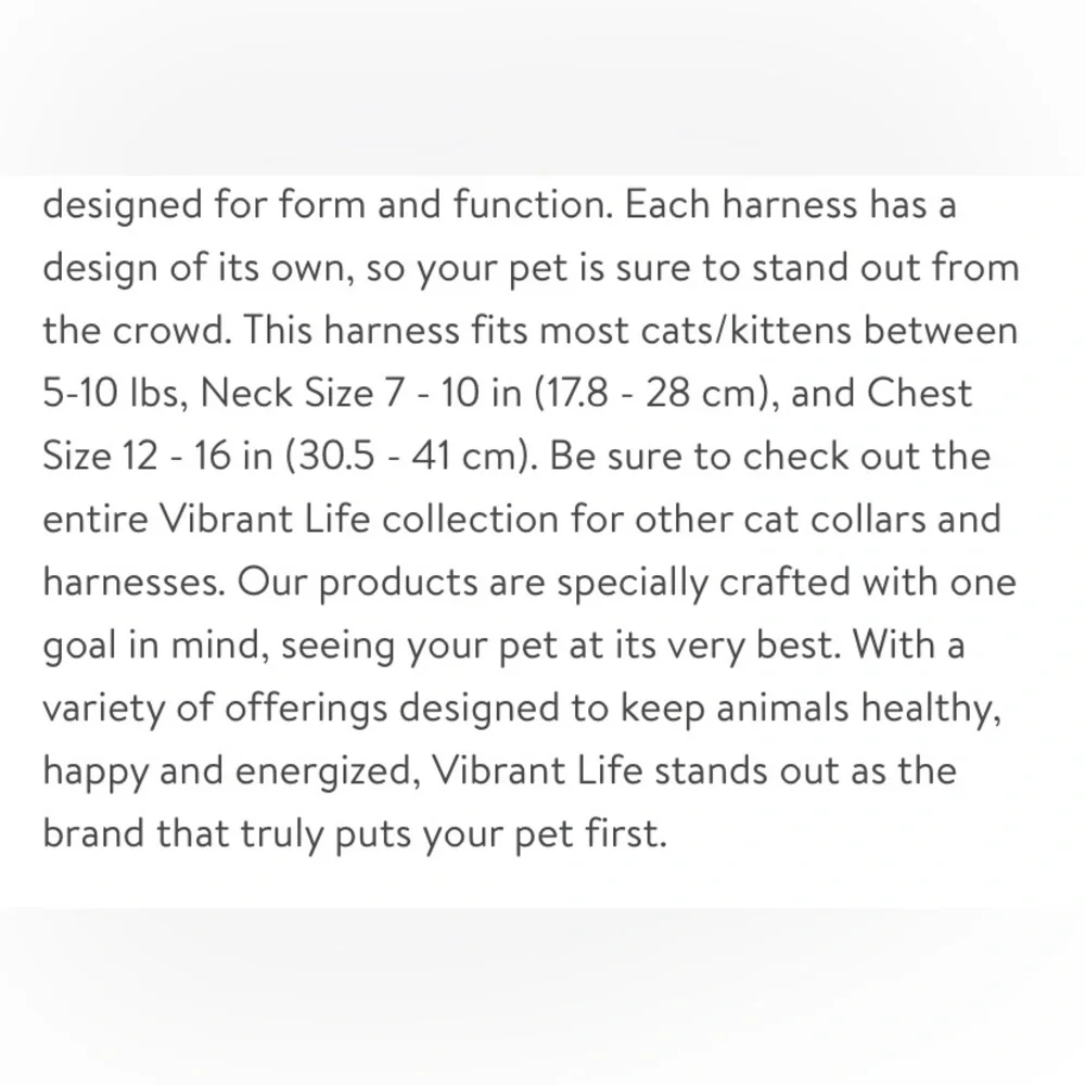 NWOT Cat Harness & Leash